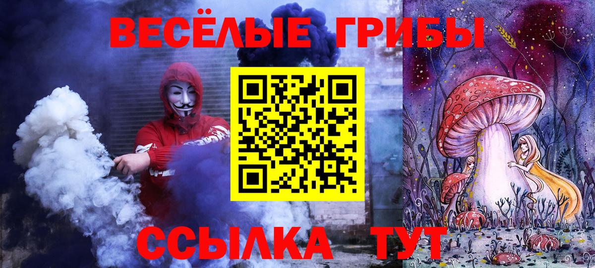 Губаха  Галлюциногенные грибы GOLDEN TEACHER  Вход с VPN 
